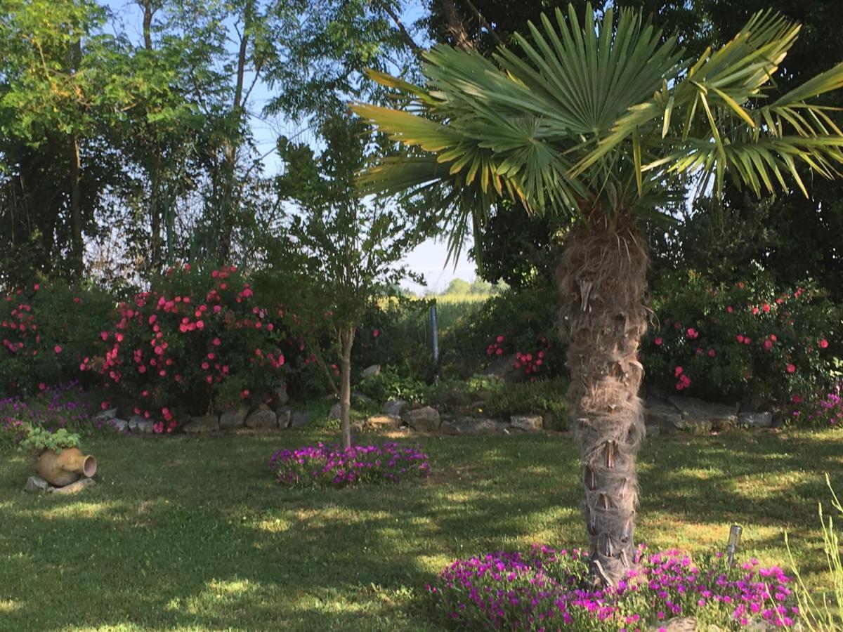 Appartement Mansarde Et Climatise 50 M2 Pompignan  المظهر الخارجي الصورة