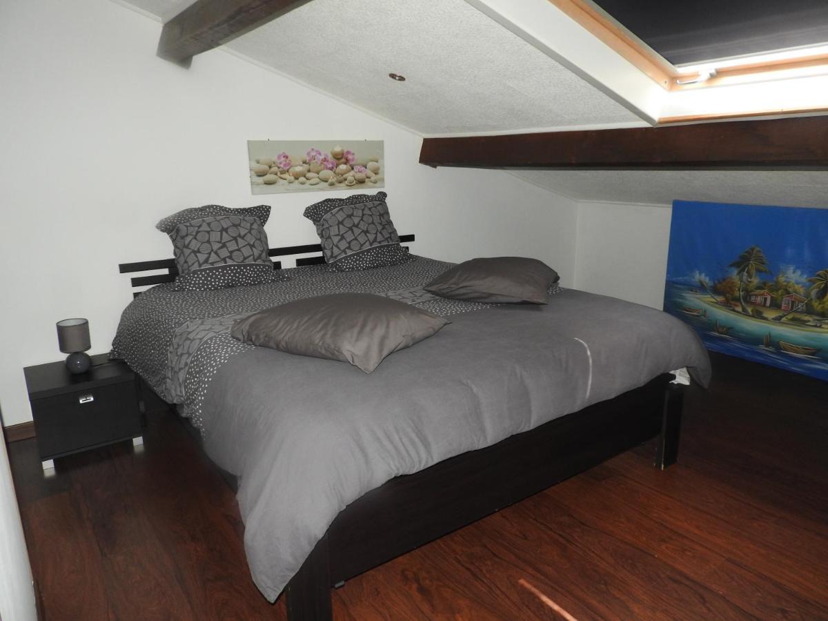 Appartement Mansarde Et Climatise 50 M2 Pompignan  المظهر الخارجي الصورة