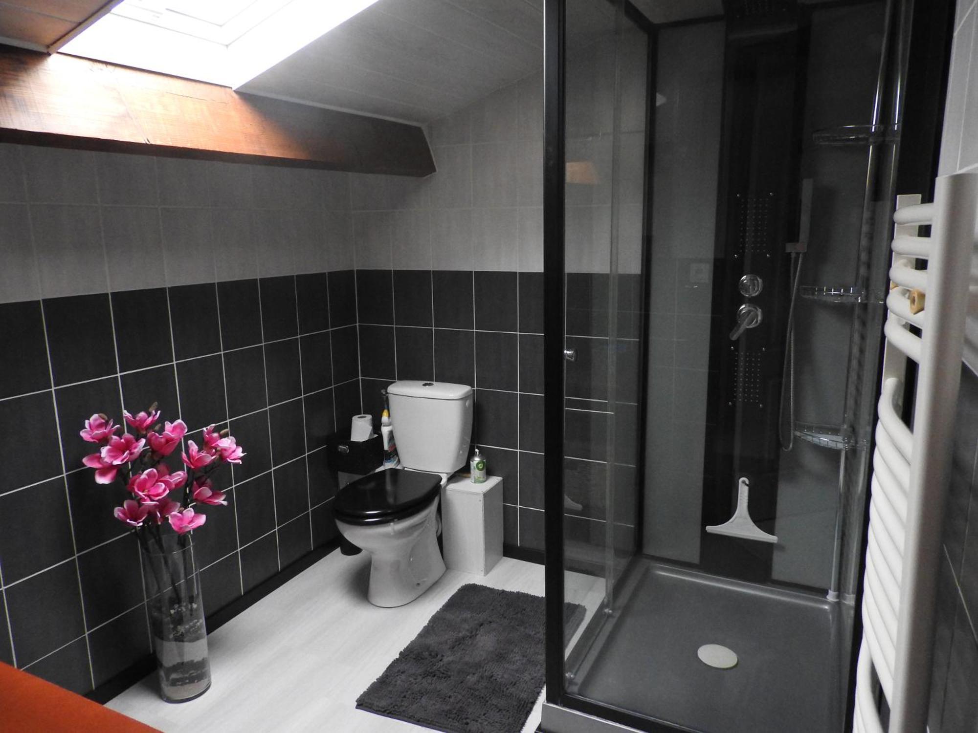 Appartement Mansarde Et Climatise 50 M2 Pompignan  المظهر الخارجي الصورة